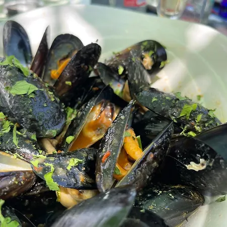 Apartment El Tiburon Playa de Gandia